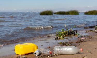 Индекс чистоты побережья учитывает массу и размеры мусора — ученый Ольга Лобчук