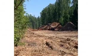 Золотодобытчики в Хакасии вырубают тайгу и загрязняют реку