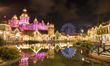 Сочи Парк открыл вакансию Бабы Яги с зарплатой от 250 тысяч рублей