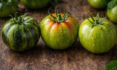 Томаты, которые переворачивают огород: вкус сносит крышу, вид — как у драгоценностей