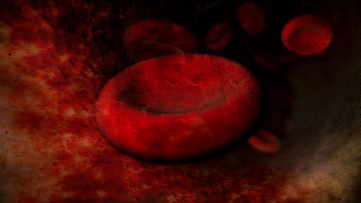 Учёные выяснили, что долгожители имеют низкий уровень глюкозы в крови