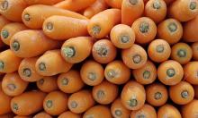 Урожай удивит даже бывалых: добавляю в морковь 3 простых ингредиента – бабушкин метод
