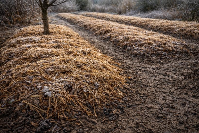 Промерзшая почва