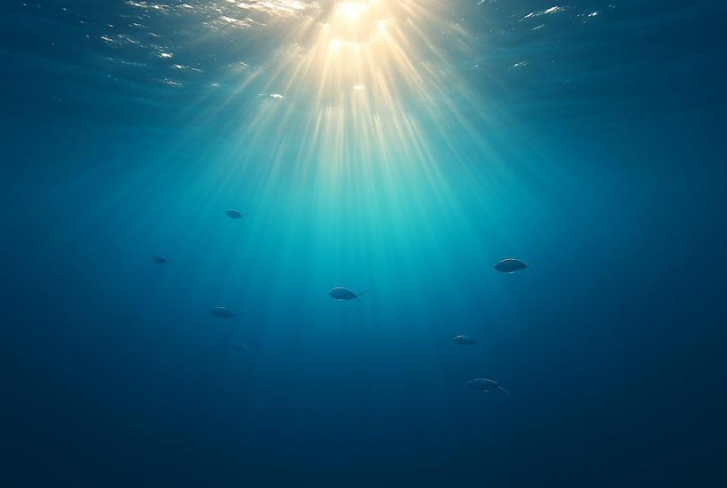 Солнечные лучи в океане