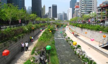 Сеул запустил систему премирования за сокращение пищевых отходов — Korea Herald