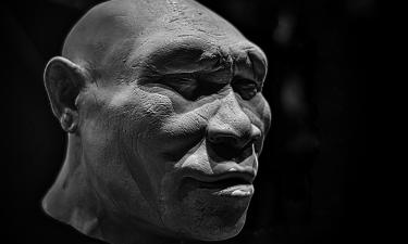 Nature публикует сенсацию: древние люди могли пересекать моря раньше, чем считалось