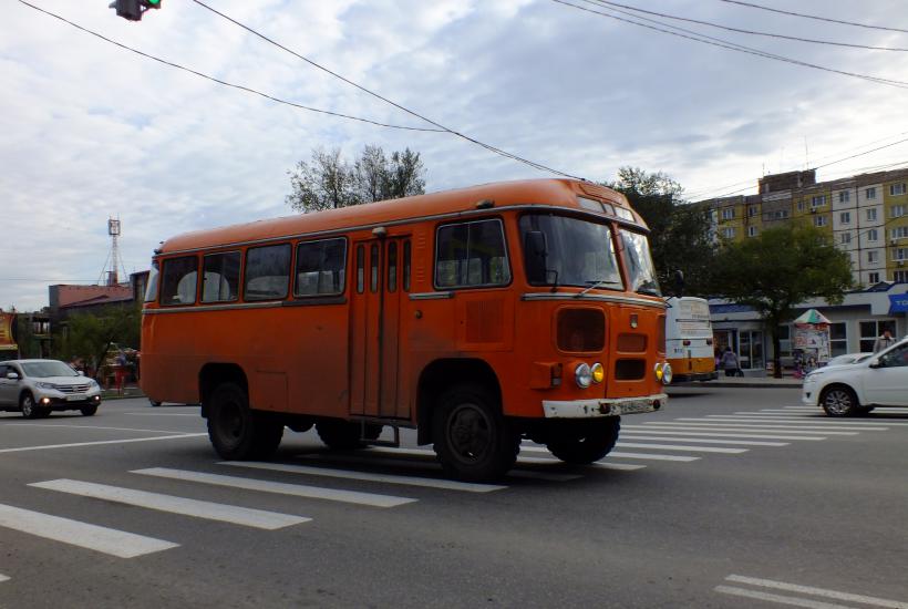 ПАЗ-3102 ПАЗ-3102