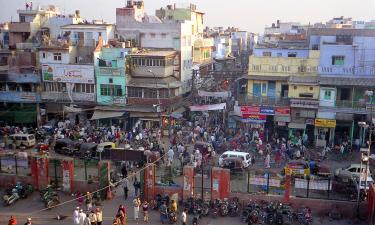 Свобода по-индийски с оттенком тревоги: блогер показал Гоа, где экзотика граничит с кошмаром