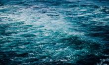 В морской воде нашли след, который не должен был появиться: подкисление оказалось лишь началом