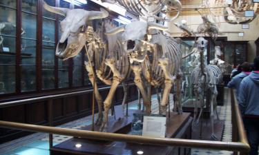 ДНК-тест опроверг гипотезу Дарвина о мутации — исследователи