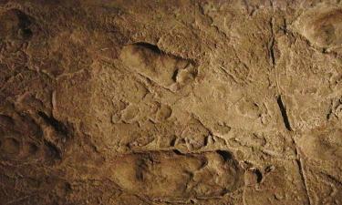 Как отпечатки древних людей изменили наше восприятие неандертальцев