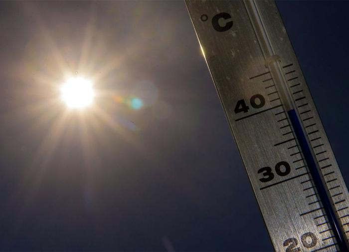 Наступивший год станет самым жарким за всю историю