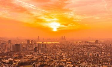 127 % избыточной смертности: Париж признан самым смертоносным городом во время жары