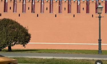 Артемий Лебедев в гневе: дизайнер объяснил, почему считает позором отделку стен Кремля профлистом