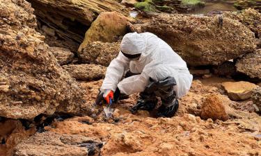 Отпуск спасён? Правда о пляжах Чёрного моря, которую не расскажут в турфирмах