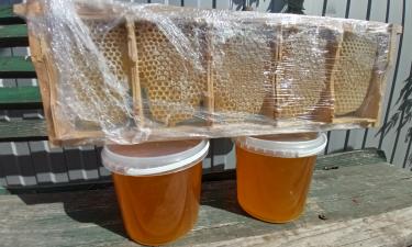 Даже опытные покупатели рискуют купить поддельный мёд — Аlfavita