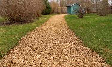 Древесная щепа предотвращает грязь на дорожках — агроном Николай Середа