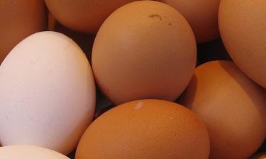 День яйца — праздник не по карману: где омлет обходится в полтысячи рублей