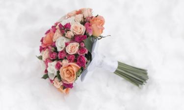 Эпатажный сын Елены Яковлевой женился второй раз — наряды молодых удивили всех