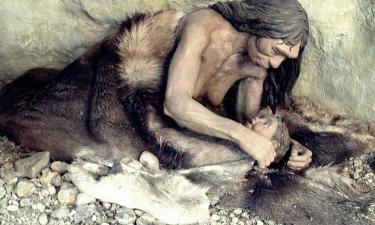 Неандертальцы использовали огонь для извлечения жира — находка в Ноймарк-Норд