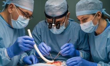 Тихий монстр из зародыша: образование размером 12 см удалили без разрезов в Воронеже