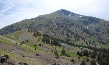 Сосны, снег и сказка: самая высокая деревня Балкан поразит вас в самое сердце — вот что вы увидите