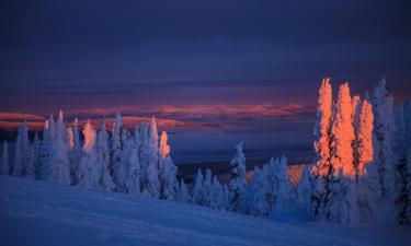 Рост спроса на арктические путешествия отметили туристические специалисты