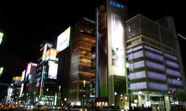 Японцы ищут игрушечные пистолеты, которые могут убивать людей