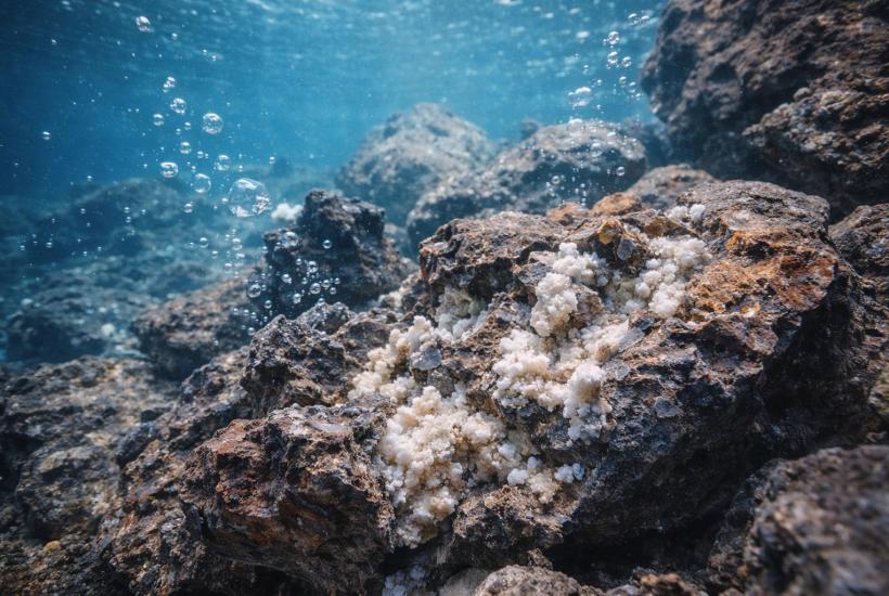 Подводные вулканические камни с минерализацией
