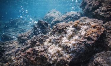 Подводные лавовые разломы накапливают углерод — Nature Geoscience