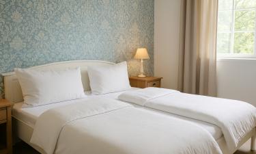 Старые подушки в спальне усиливают риск аллергии — Daily Mail