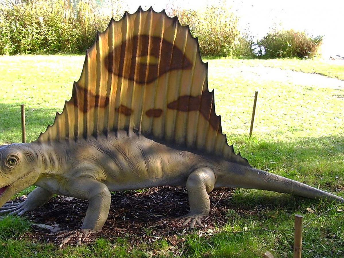 Загадка из глубины веков: как предки млекопитающих купались в грязи и искали общество