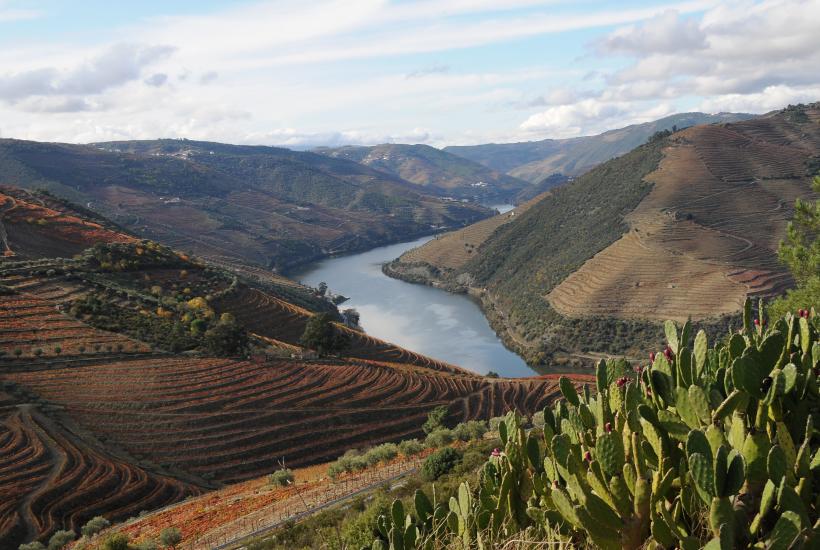 Долина Дору