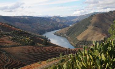 Долина Дору признана центром винного туризма Португалии — гиды