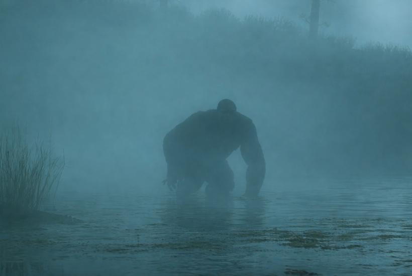 Тень в тумане над болотом