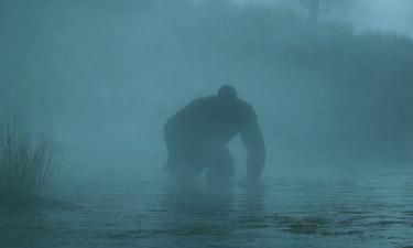 Первое упоминание "обезьяны-скунса" относится к 1970-м годам — IFLScience