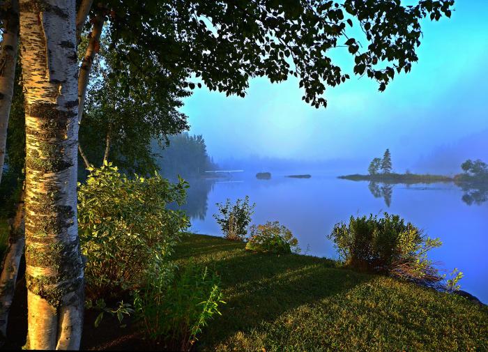 Синоптик Ильин спрогнозировал июльскую погоду в Москве