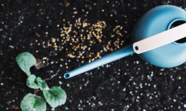 Свежий навоз прошёл минерализацию за зиму — специалисты по почвам