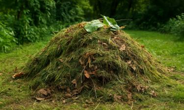 Сделали покос — теперь делайте подкормку: трава работает лучше покупных удобрений