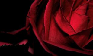 Зендея рассказала о съёмках интимных сцен с двумя партнёрами