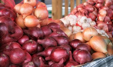 Лук усиливает антиоксидантную защиту организма — сообщил диетолог Фишер