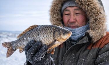 Якутский карась не пахнет тиной из-за отсутствия водорослей
