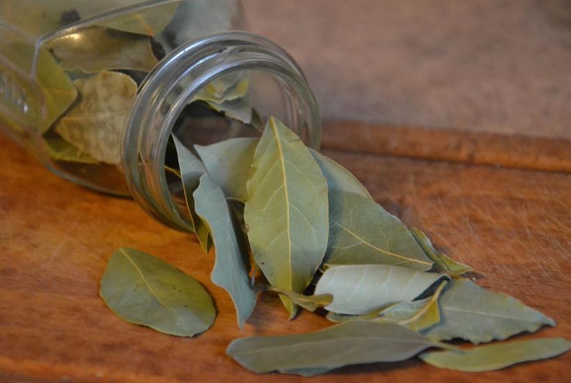 лавровый лист