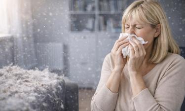 Зимой активизируются клещи домашней пыли — аллерголог Селма Аршба