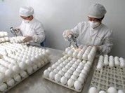 Пищевая промышленность зашла в тупик?