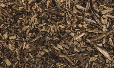 Мульчирование зимой снижает риск промерзания корней — Southern Living