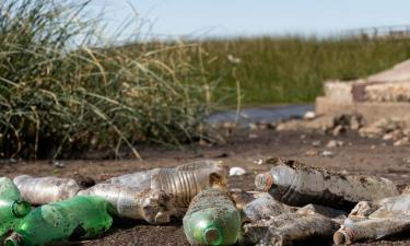 Экологический кошмар в Подмосковье: Сухановский пруд превращается в болото смерти