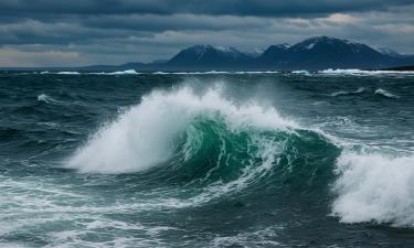 Море, которое шепчет из бездны: под водой бушуют вулканы, выбросы метана и чужие крабы