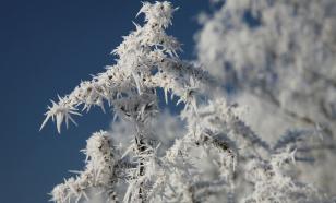 Метеоролог Шувалов предупредил, что оттепель в Москве сменится морозами к концу недели