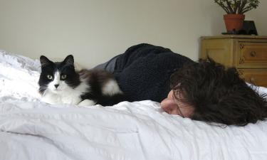 Не просто питомец, а домашний доктор: как кошка чувствует ваши болячки раньше вас